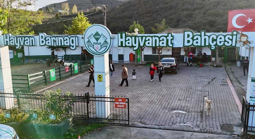 Can dostların güvenli yuvası: Giresun Belediyesi