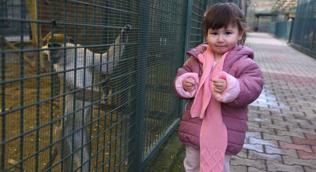 Hayvanat bahçesi ziyaretçilerini bekliyor