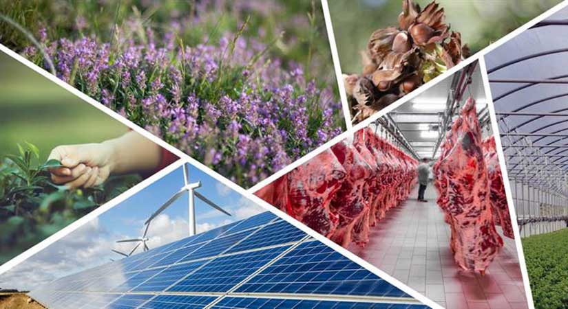 Yüzde 50 Hibe Destekli Proje başvuruları başladı