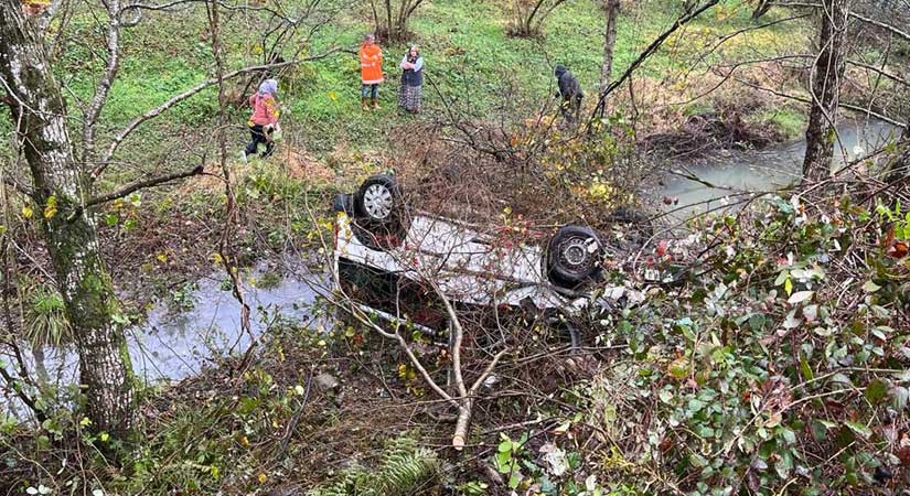 Kamyonet dereye uçtu: 3 yaralı!