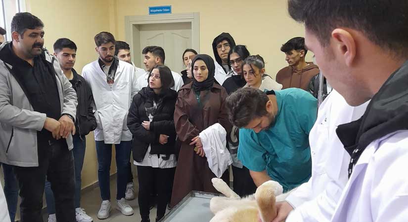 Mesleğe tam donamlı hazırlanıyorlar