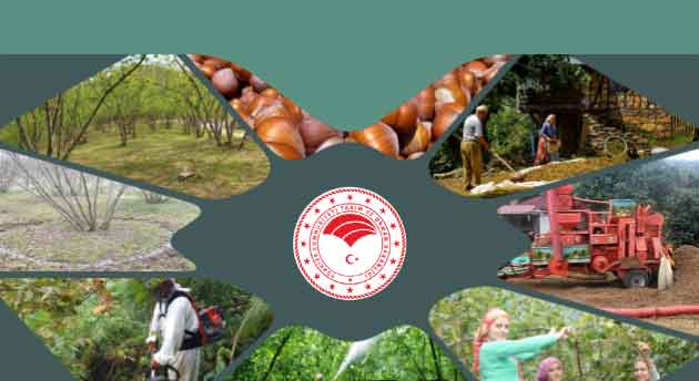 2023 gelir desteği hak edişleri askıda!