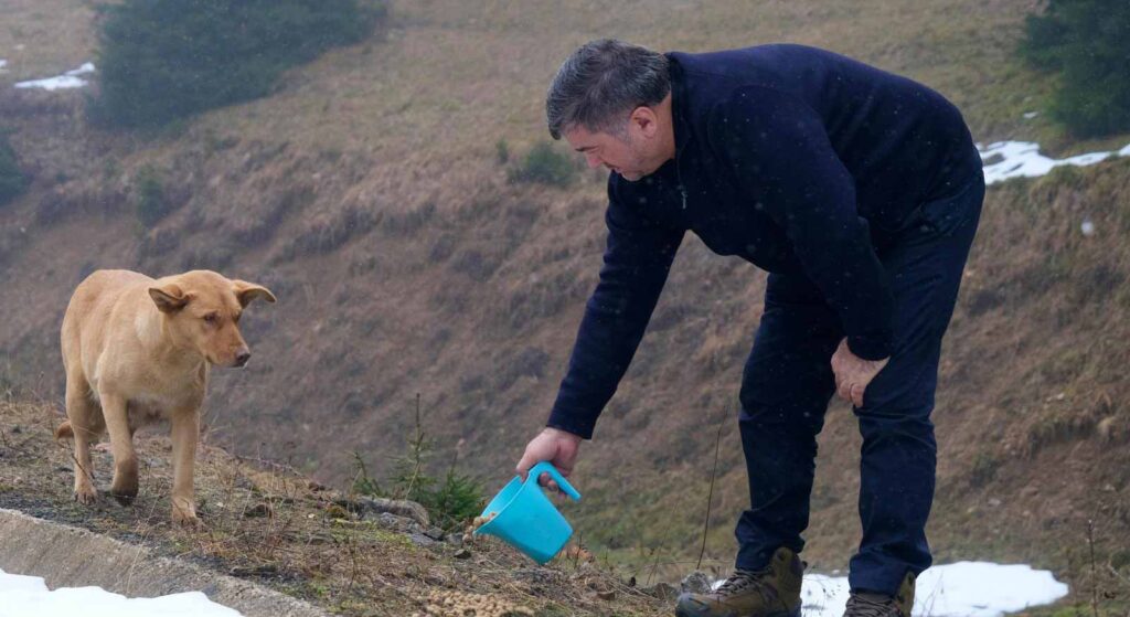 Başkan Şenlikoğlu, can dostlarımızı kendi elleriyle besledi