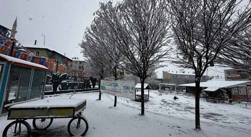 Alucra’da Mart kapıdan baktırdı