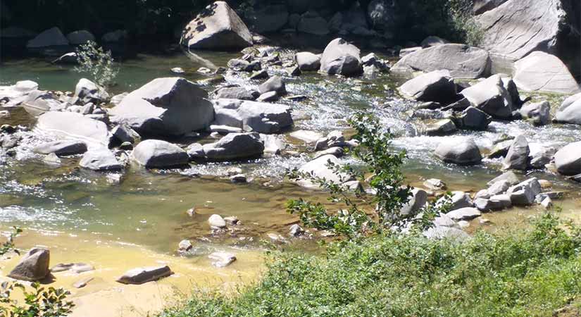 Maden Ocağından sızıntılar ormanları tehdit ediyor!