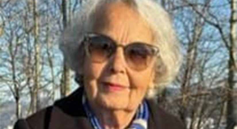 Şenel: Laiklikten asla vazgeçmeyeceğiz