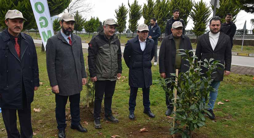 Espiye’de Ormancılık Haftası kutlandı