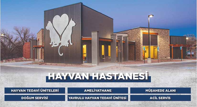 Belediye bünyesinde Hayvan Hastanesi kurulacak