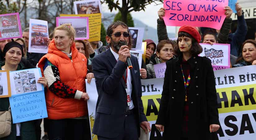 Bulancak’taki köpek katliamına tepkiler dinmiyor!