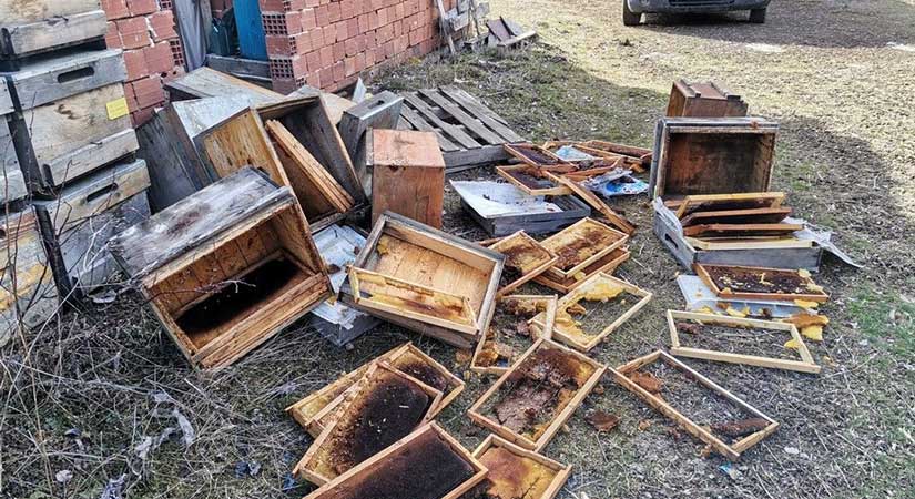 10 yıllık emek yok oldu!