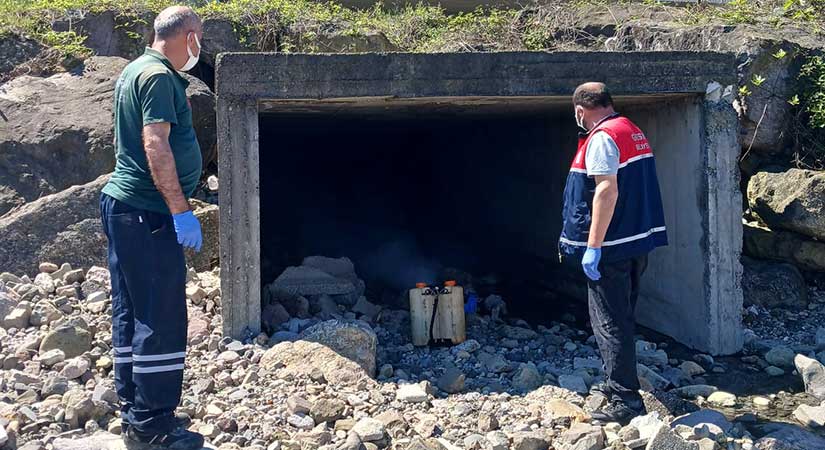 Giresun’da kapsamlı ilaçlama çalışması başlatıldı