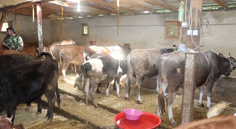 Son başvuru tarihi 7 Haziran