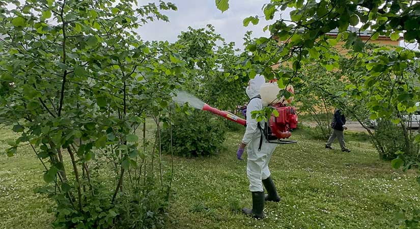 Giresun Üniversitesinden uyarı