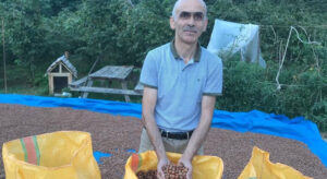 Fındık Piyasasında Alarm: Esnaf Büyük Riskte