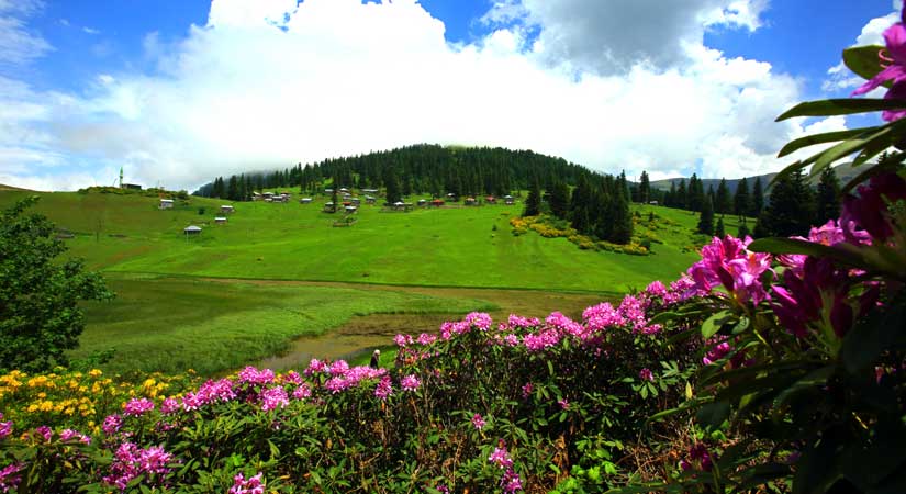 Karadeniz’de köyler boşalıyor, tarım can çekişiyor