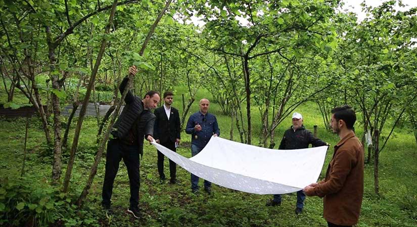 Çiftçinin ortalama yaşı 59’a yükseldi!