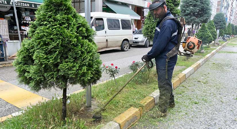 Park ve yeşil alanlarda yaz temizliği