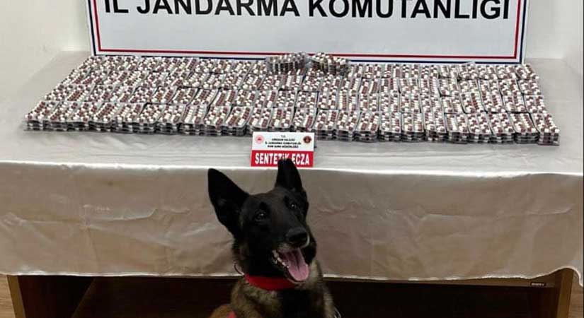 Giresun’da büyük uyuşturucu operasyonu
