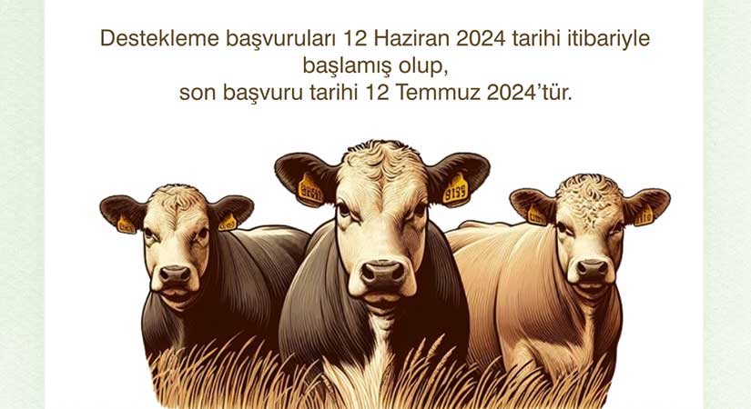 Son Başvuru Tarihi 12 Temmuz 2024