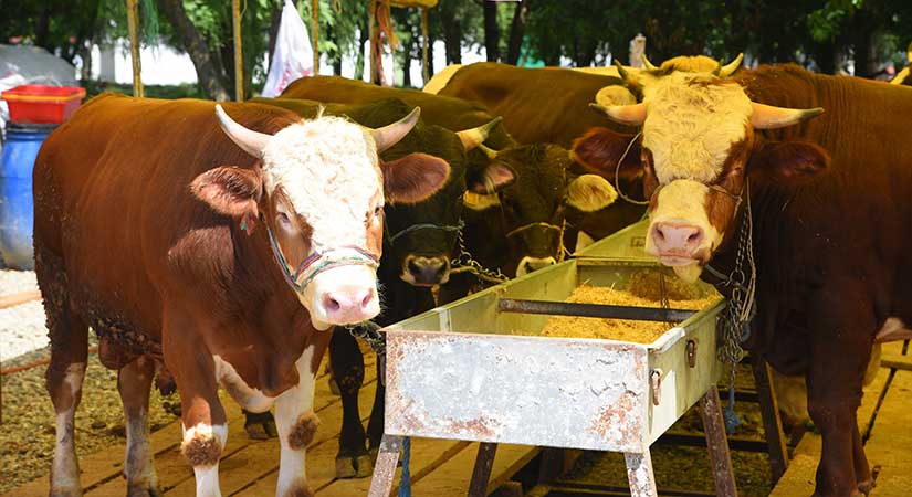 Giresun Belediyesi’nden bayram öncesi örnek hizmet