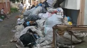 Çınar: Yakma tesisi çözümün başlangıcı olmamalı
