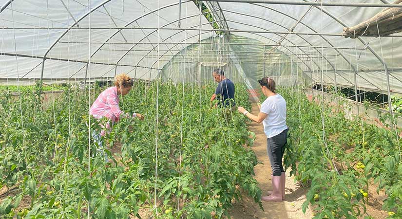 Tarladan Sofraya Güvenilir Gıda için yeni adım