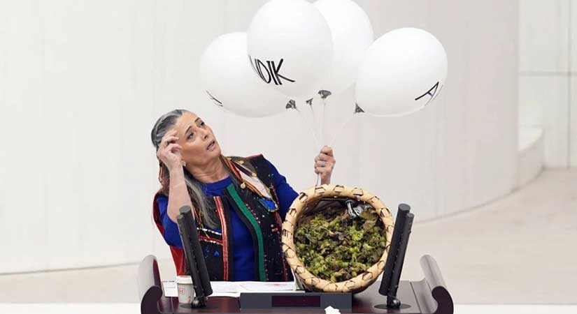 CHP Trabzon Milletvekili Suiçmez’den, fındık uyarısı!