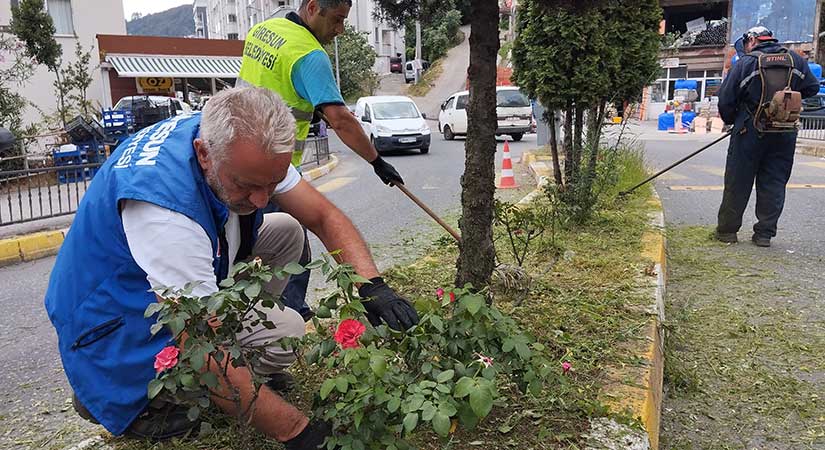 Yeşil alanlar güzelleştiriliyor