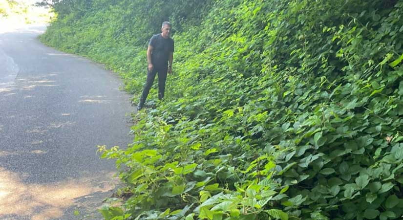 CHP İGM üyesi Ertürk’ten, köy yolları eleştirisi