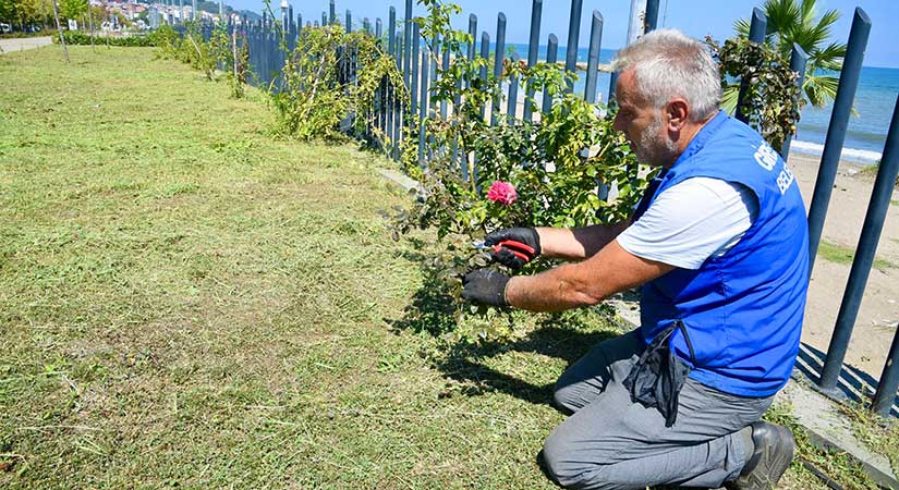 Estetik dokunuşlar ile şehir güzelleşiyor