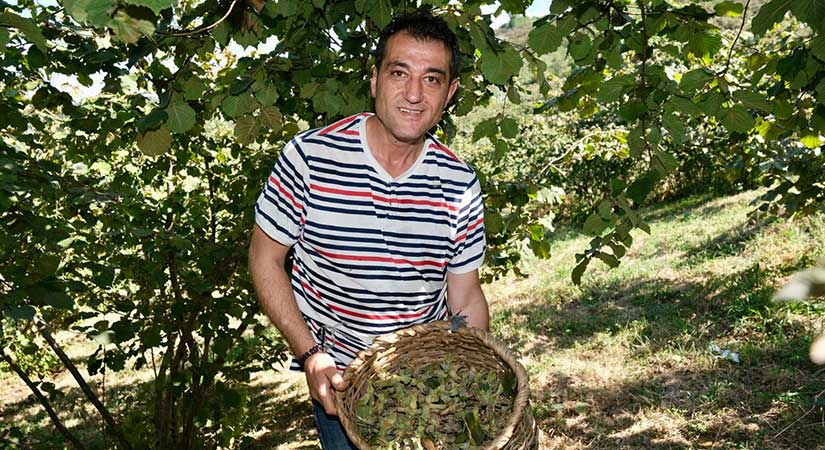 Başkan Köse’den fındık bahçesinde sürpriz ziyaret