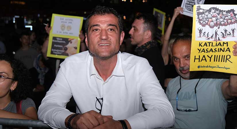 Sokak hayvanları yasası için anlamlı konser