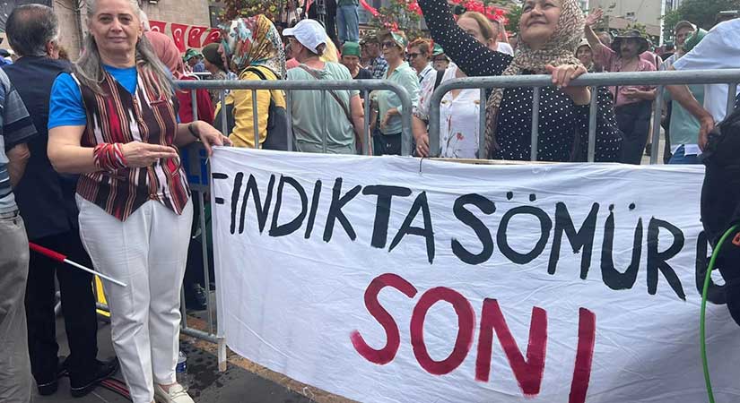 CHP Milletvekili Sibel Suiçmez’den TMO’ya fındık ödemesi tepkisi