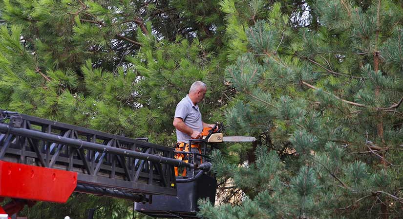 Güvenlik ve doğa için önlemler alınıyor