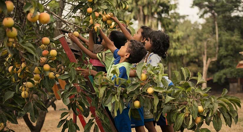 Mevsimlik tarım işçisi ailelerin çocukları temel haklardan mahrum kalıyor