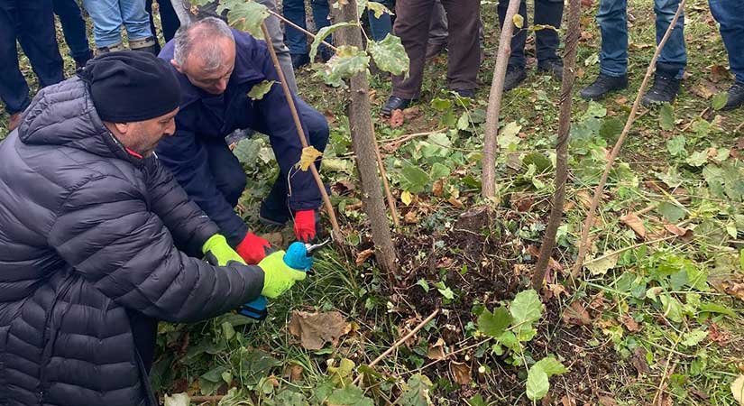 Bahçe budama kursu tamamlandı