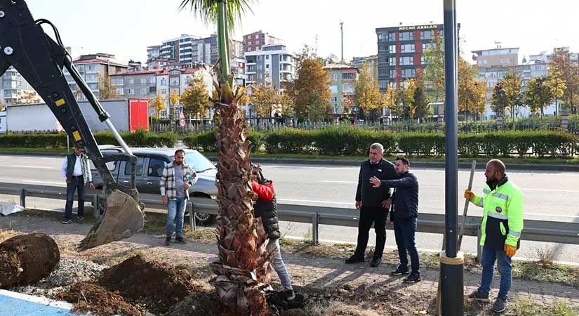 Başkan Necmi Sıbıç doğaya neşter vurdu