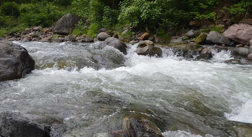 Çanakçı Deresi’nde ÇED raporu bir kez daha iptal edildi