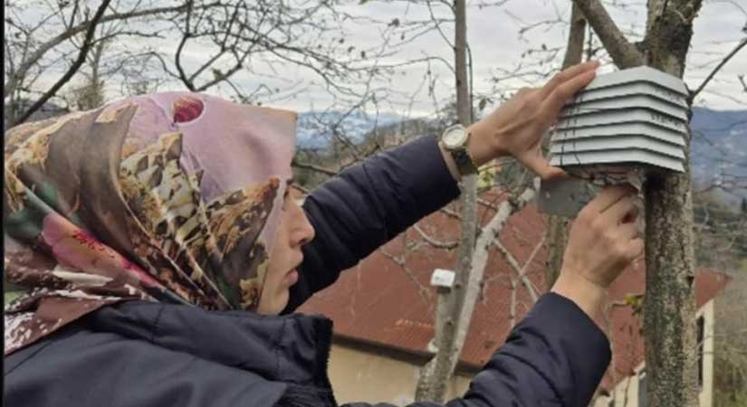 FAE’den, bahçelere yakın takip!