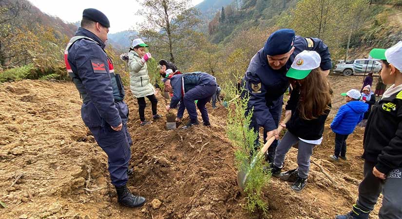 Giresun’da 38 bin 500 fidan toprakla buluştu