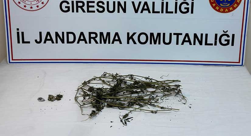 Üçtepe Beldesi’nde Kubar esrar ele geçirildi