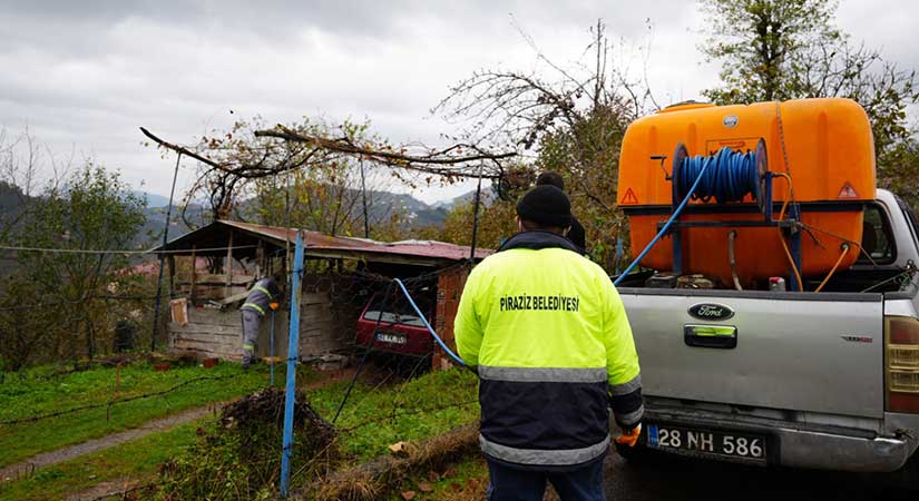 Piraziz’de Kahverengi Kokarca için seferberlik