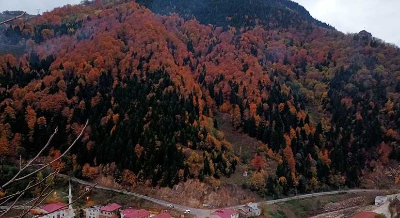 Yavuzkemal’de renk cümbüşü