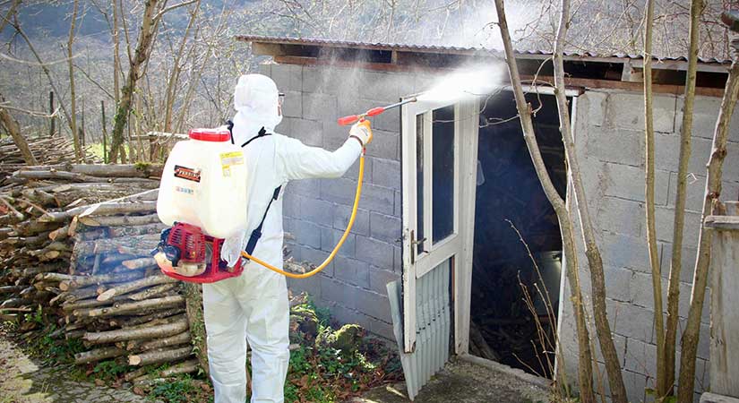 Belediye Kokarca ile mücadeleye ilaçlama desteği veriyor