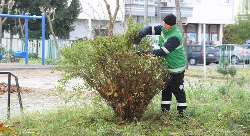 Şehirdeki parklarda bakım onarım çalışması başlatıldı