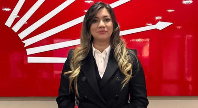 Güler, başkanlığa getirildi