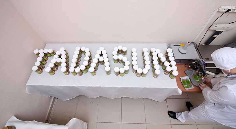 Espiye L Tipi cezaevinde üretilen Tadasun marka fındık ürünleri tanıtıldı