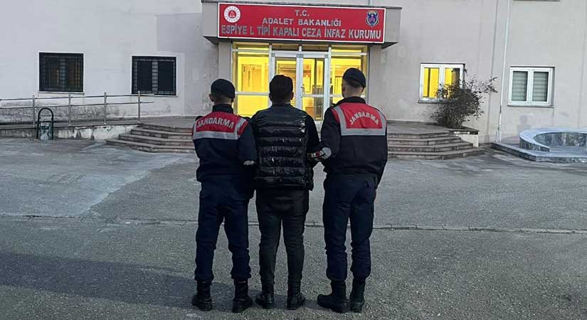 Giresun Jandarma’dan suçlulara geçit yok