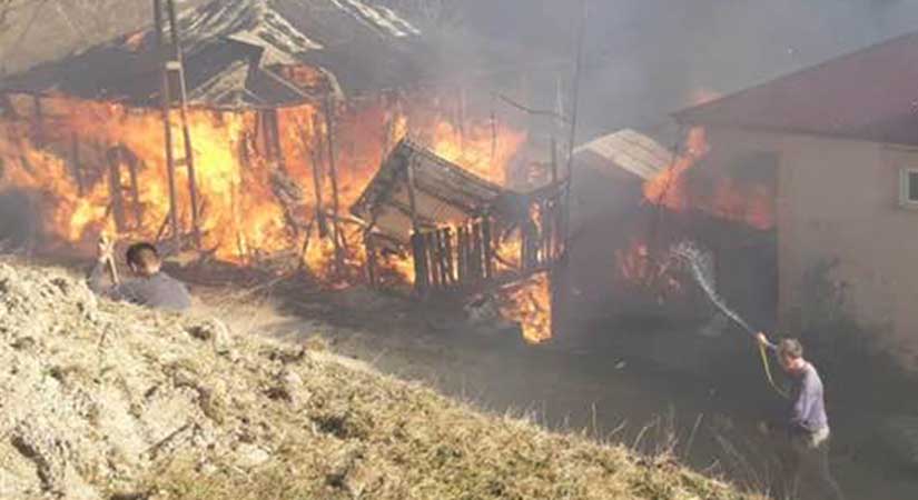 Espiye’de samanlık yangını evi de kül etti