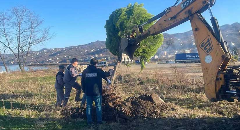 Görele’de halkın piknik yapacağı kent ormanı geliyor
